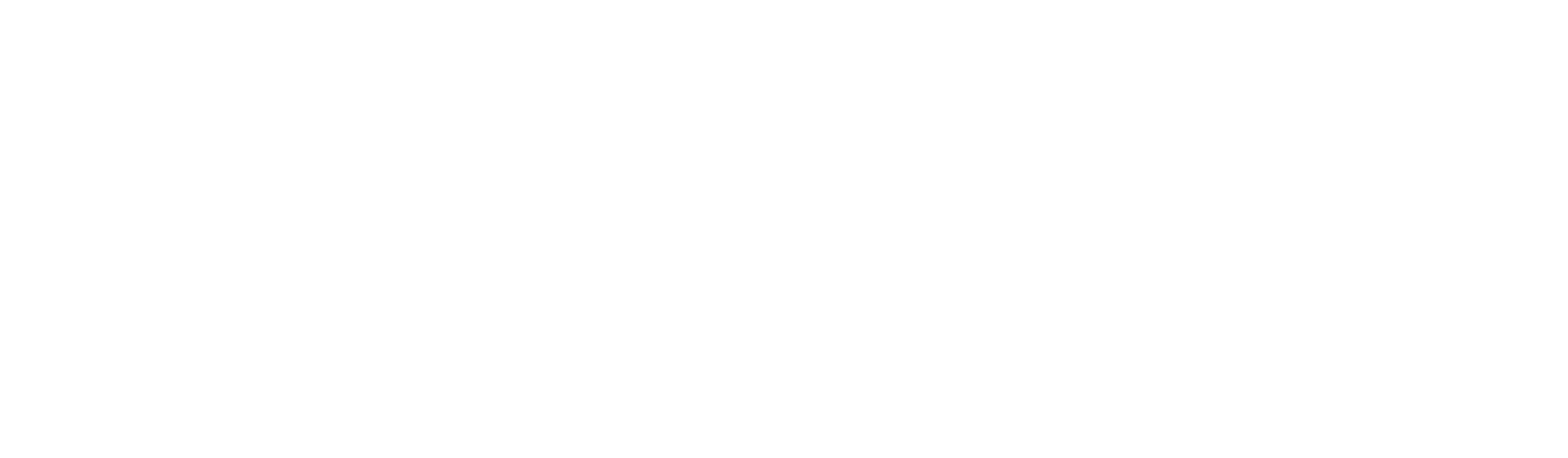 Campidog
